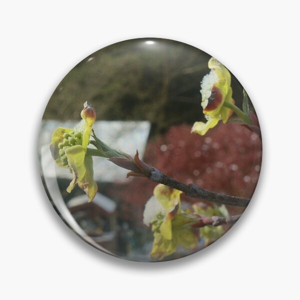 Item preview, Snow on the Native Dogwood Blossoms designed and sold by chstudios.