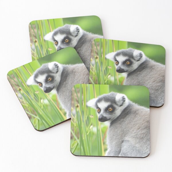 Item preview, An Adorable Lemur designed and sold by Karen Thomson.