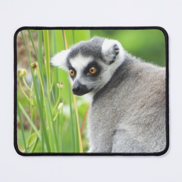 Item preview, An Adorable Lemur designed and sold by Karen Thomson.