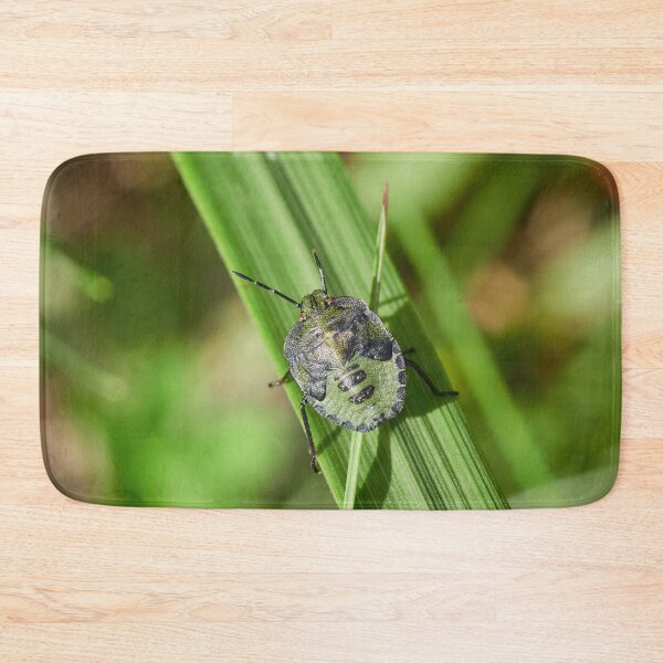 Item preview, Green on green. Green shield bug designed and sold by Jouko Lehto Photography.