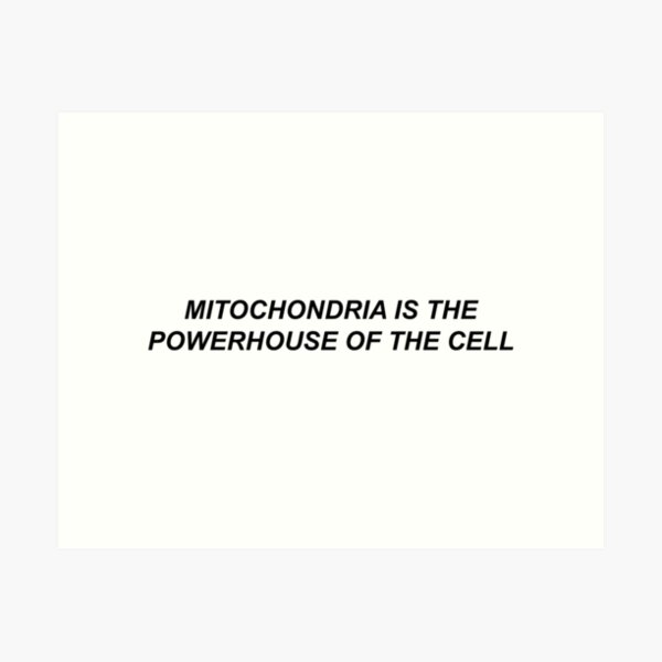 Mitochondrien sind das Kraftwerk der Zelle Kunstdruck