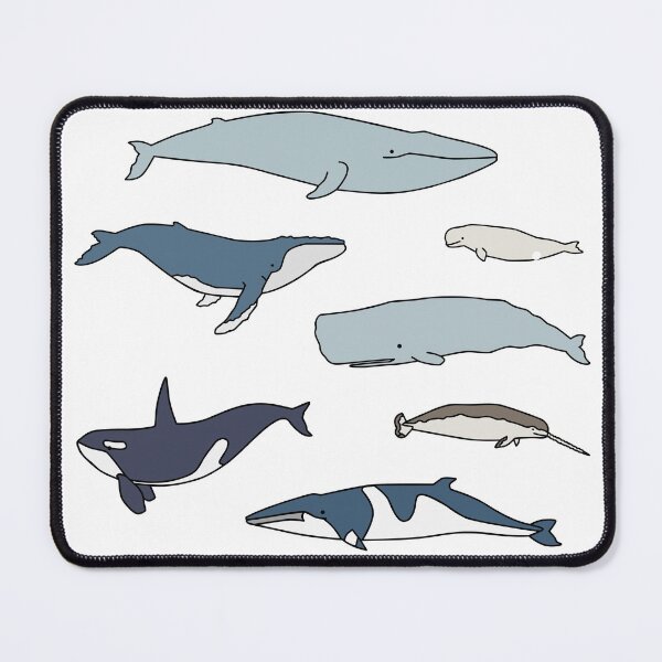 Item preview, Common whales pack designed and sold by lisaedlund.