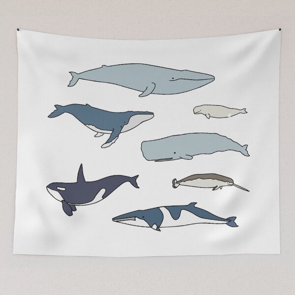 Item preview, Common whales pack designed and sold by lisaedlund.