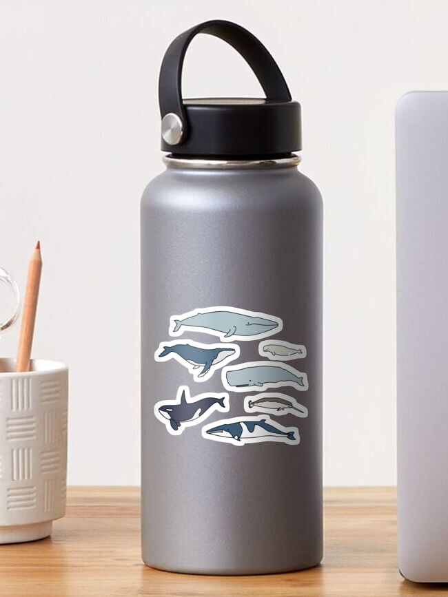 Thumbnail 1 of 3, Sticker, Common whales pack designed and sold by lisaedlund.