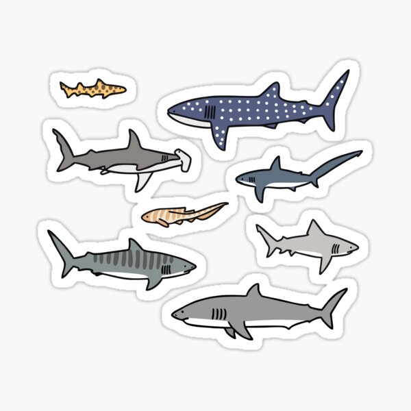 Common sharks pack Sticker