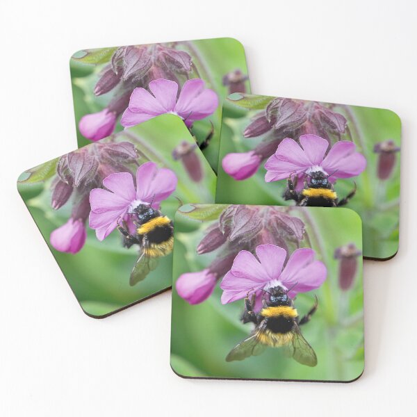 Item preview, English Wild Flowers - Red Campion with bee designed and sold by Violaman.
