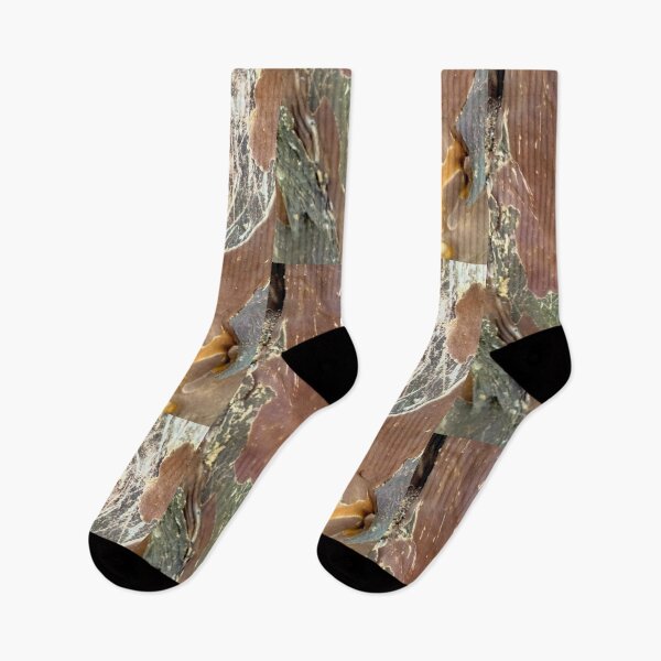 Item preview, Bark designed and sold by TeaFairy Art.