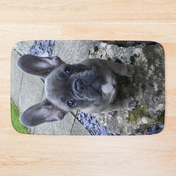 Item preview, Kedi the French Bull Dog Puppy designed and sold by Labradoodlesetc.