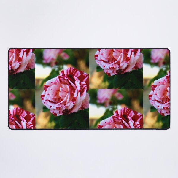 Item preview, Striped rose designed and sold by Lee's Place.