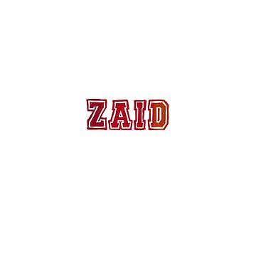 Zaid with names, horizontal text, Zaid name, blue neon lights, with Zaid  name, HD wallpaper | Peakpx