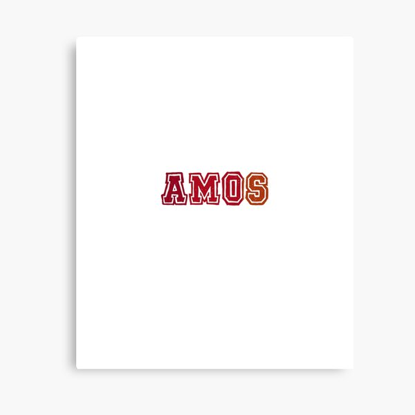 AMOS Canvas Print