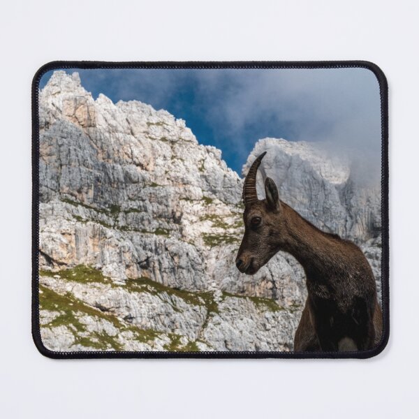 Item preview, Steinbocks in the Julian alps designed and sold by zakaz86.