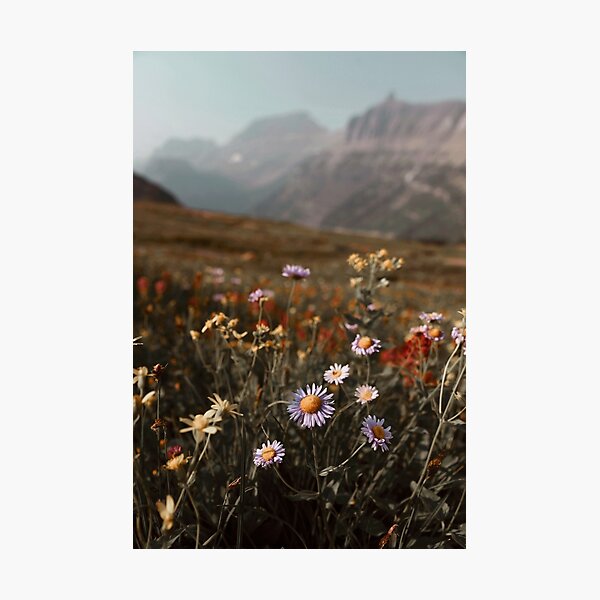 Item preview, Mountain meadow  designed and sold by bellehibou.
