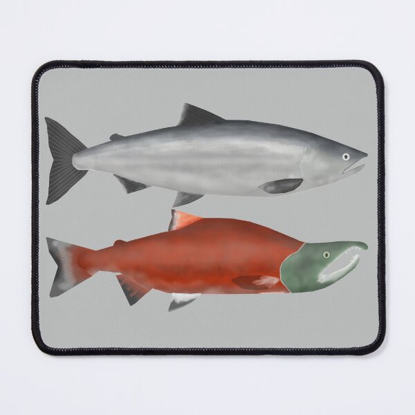 Item preview, Sockeye Salmon Group designed and sold by fishfolkart.