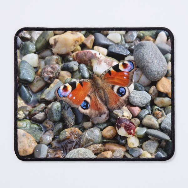 Item preview, Peacock Butterfly on Stone designed and sold by Nammu.