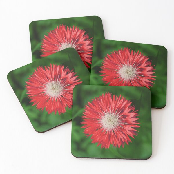 Item preview, Red and Fluffy Centaurea designed and sold by Asaha17.