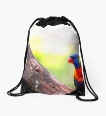 Rainbow Lorikeet On Peppercorn Tree Branch Drawstring Bag