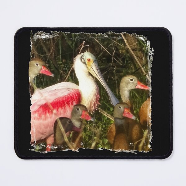 Item preview, The Ugly Duckling  designed and sold by Dead-Moroz.
