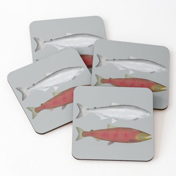 Item preview, Chinook (King) Salmon Ocean and Spawn Phases designed and sold by fishfolkart.