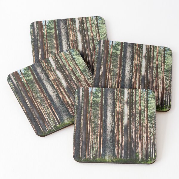 Item preview, Pines of Kirkaslamminkangas. Seitseminen National Park designed and sold by Jouko Lehto Photography.