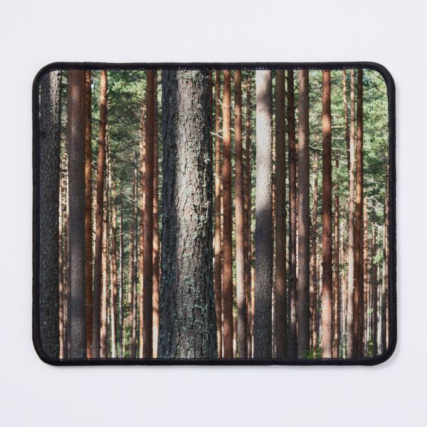 Item preview, Pines of Kirkaslamminkangas. Seitseminen National Park designed and sold by Jouko Lehto Photography.