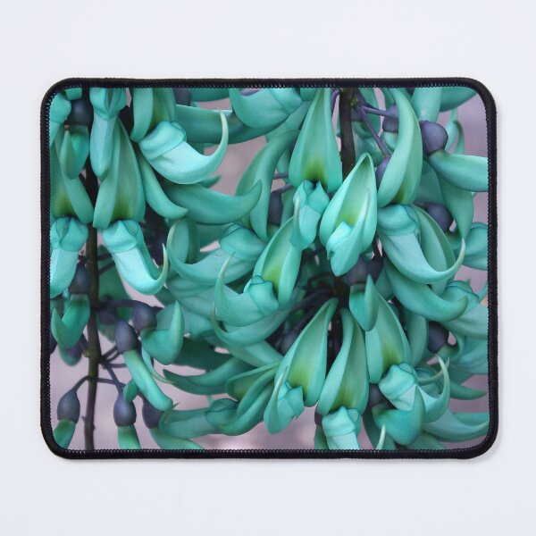 Item preview, Jade Vine in Flower designed and sold by Kerryn Madsen-Pietsch.