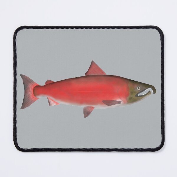 Item preview, Coho (Silver) Salmon - Spawning Phase designed and sold by fishfolkart.