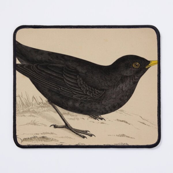 Item preview, Naturalist Blackbird designed and sold by BlueSpecsStudio.
