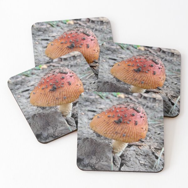 Item preview, Little Red designed and sold by TeaFairy Art.