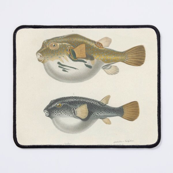 Item preview, Naturalist Pufferfish designed and sold by BlueSpecsStudio.