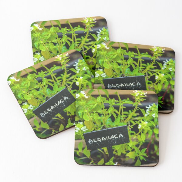 Item preview, Cooking Herbs (Basil) designed and sold by Cat Calhoun.