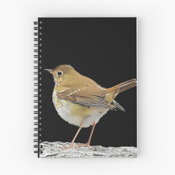 Item preview, Hermit Thrush designed and sold by KxNation.