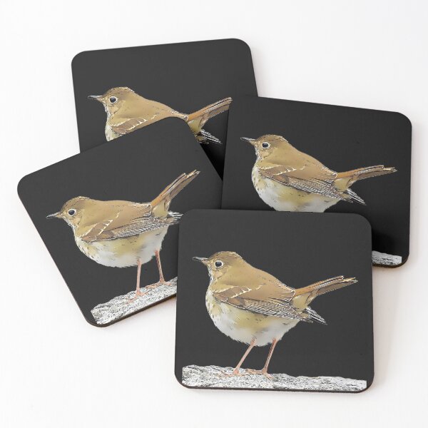 Item preview, Hermit Thrush designed and sold by KxNation.