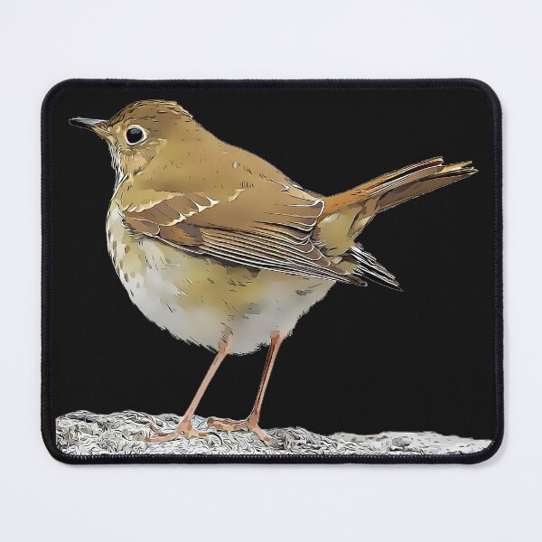 Item preview, Hermit Thrush designed and sold by KxNation.