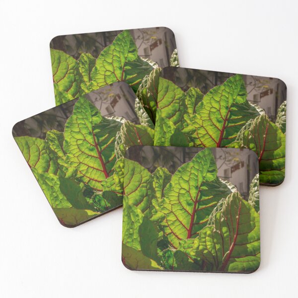 Item preview, Rainbow Chard designed and sold by Cat Calhoun.