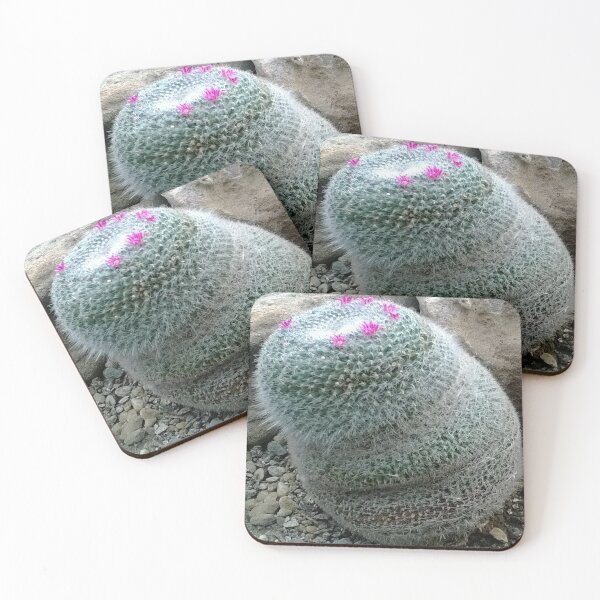 Item preview, Mammillaria cactus plant designed and sold by glowvim.