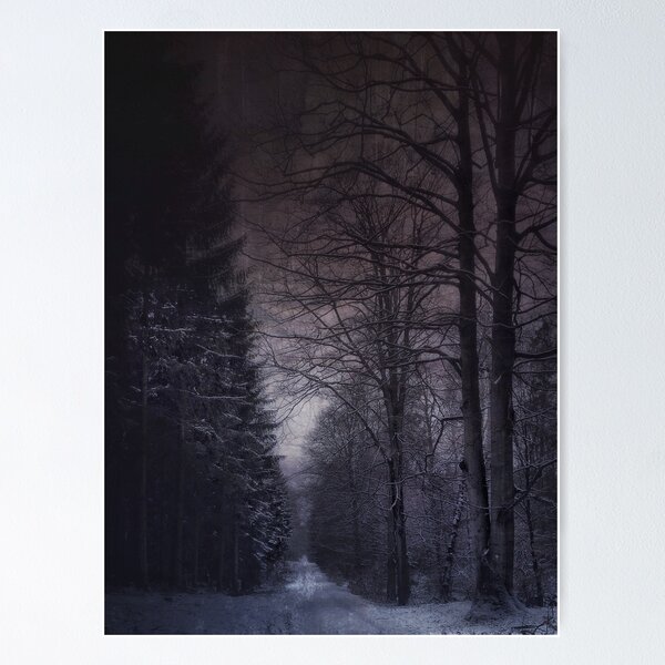 Dreamy winter forest Poster