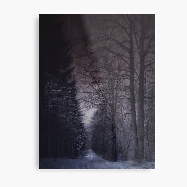 Dreamy winter forest Metal Print