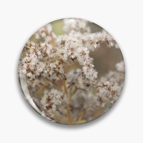 Item preview, Autumn Dried Native Goldenrod designed and sold by chstudios.