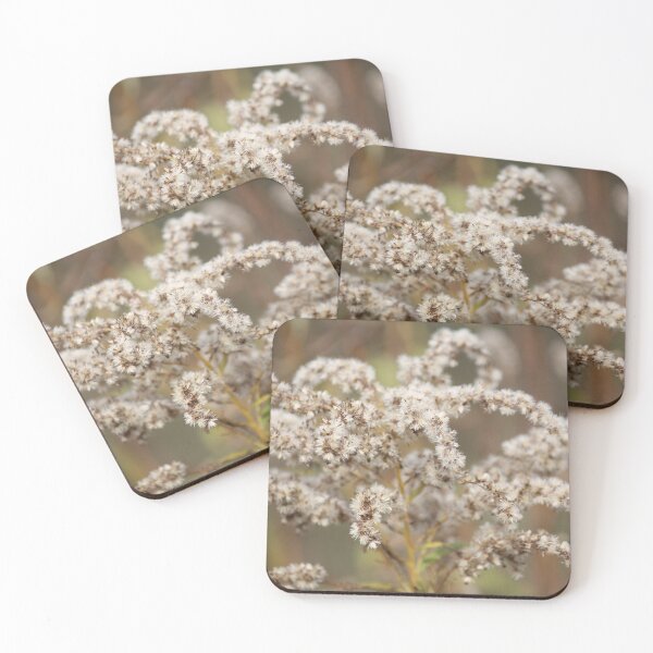 Item preview, Autumn Dried Native Goldenrod designed and sold by chstudios.