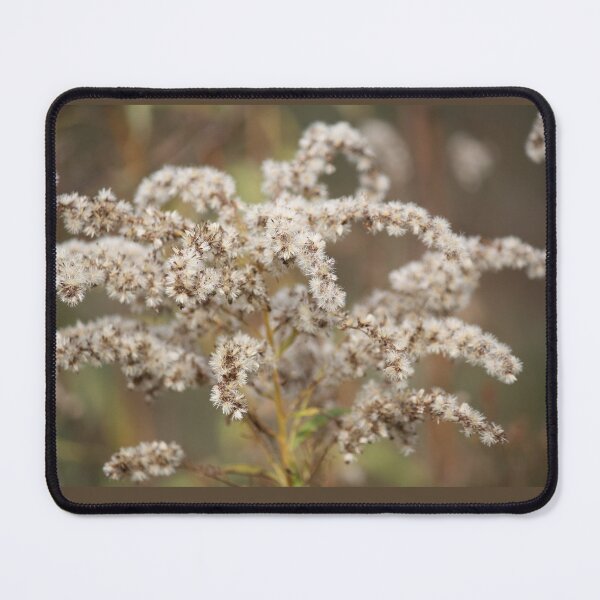 Item preview, Autumn Dried Native Goldenrod designed and sold by chstudios.
