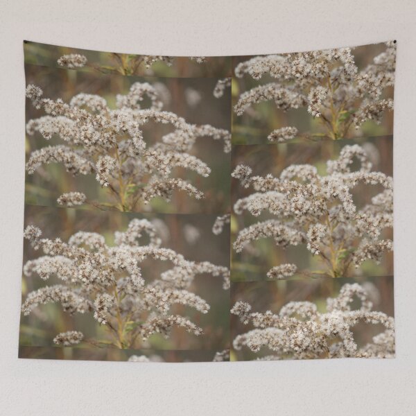 Item preview, Autumn Dried Native Goldenrod designed and sold by chstudios.