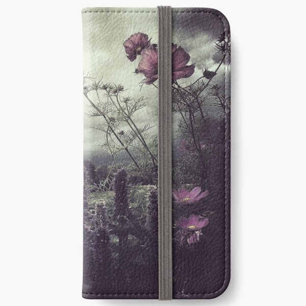 Few minutes before the rain iPhone Wallet
