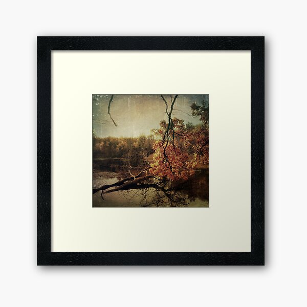 Autumn at the forest lake Framed Art Print