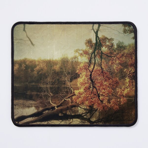 Autumn at the forest lake Mouse Pad
