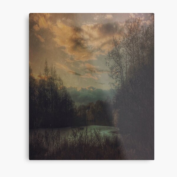 Frejas forest Metal Print