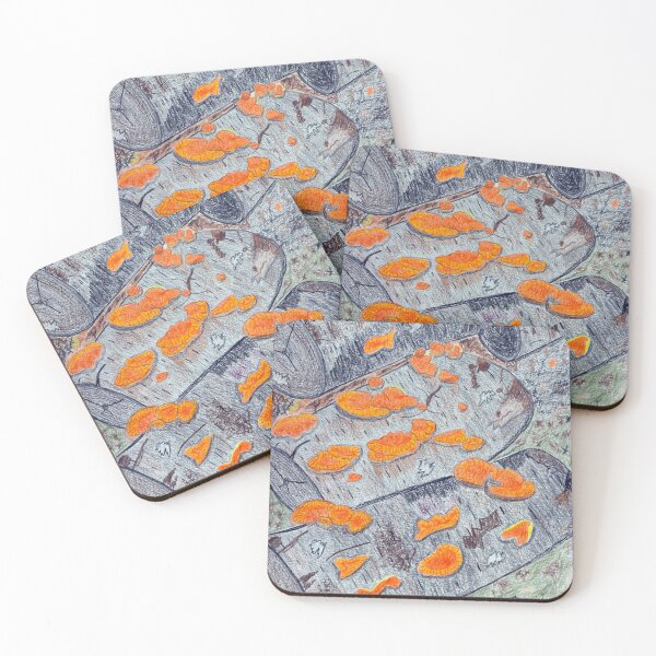 Item preview, Fungus on Logs designed and sold by McGrath-Scapes.