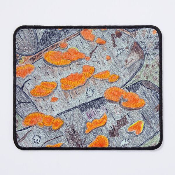 Item preview, Fungus on Logs designed and sold by McGrath-Scapes.