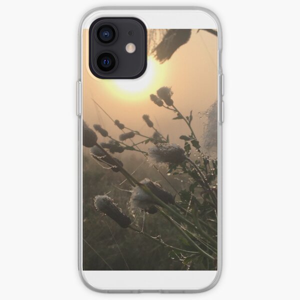 Thistle with frost at sunrise iPhone Soft Case