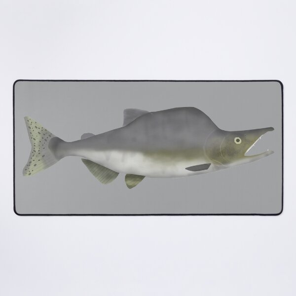 Item preview, Pink (Humpy) Salmon - Spawning Phase designed and sold by fishfolkart.